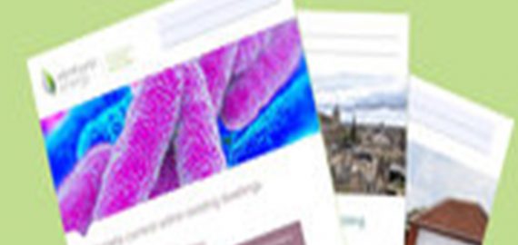 Quodox能源-帮助会员推销他们的服务